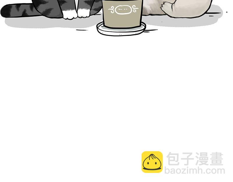 🍘吾皇巴扎黑 第343话 喵生哲学 第31页