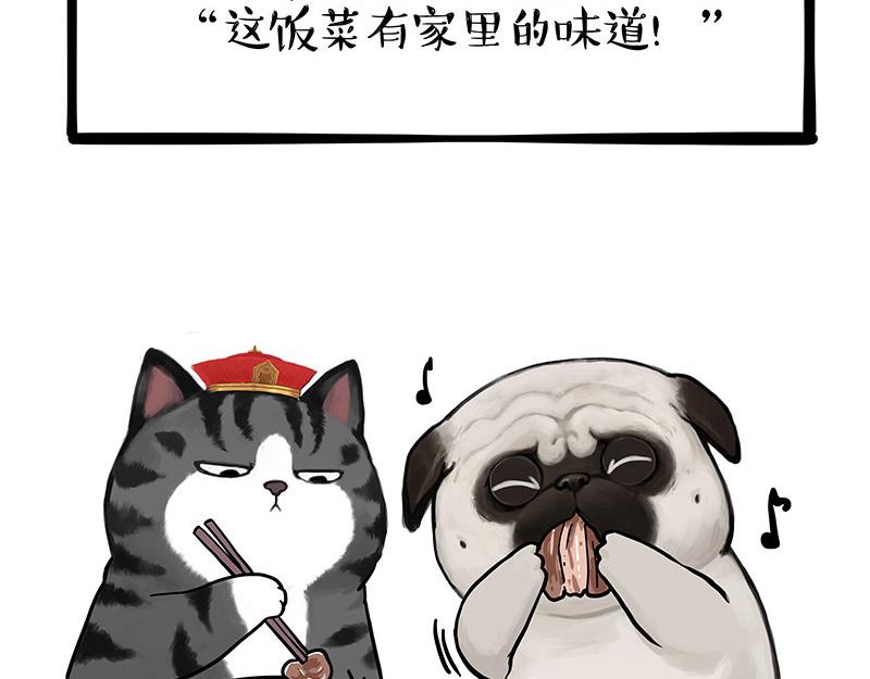 🍘吾皇巴扎黑 第343话 喵生哲学 第37页