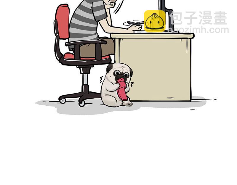 🍘吾皇巴扎黑 第343话 喵生哲学 第5页