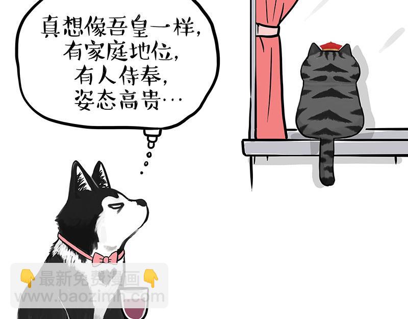 🍘吾皇巴扎黑 第343话 喵生哲学 第8页
