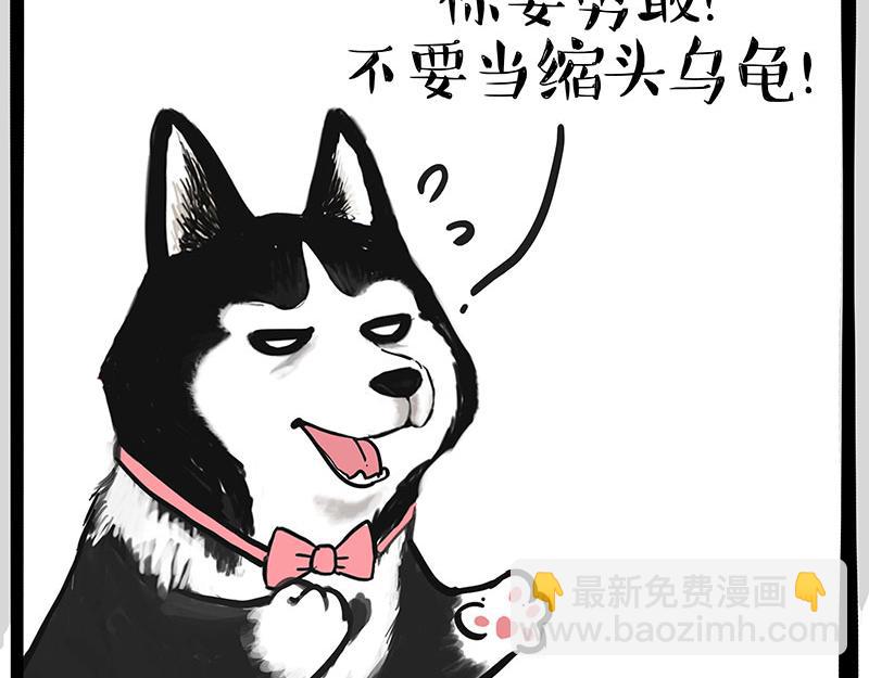 🍘吾皇巴扎黑 第347话 八百个心眼子 第3页
