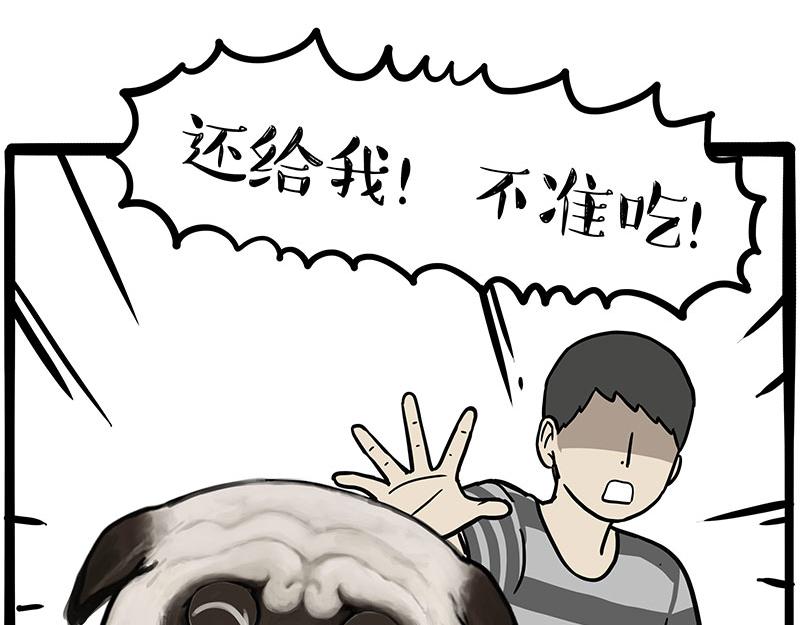 🍘吾皇巴扎黑 第347话 八百个心眼子 第43页