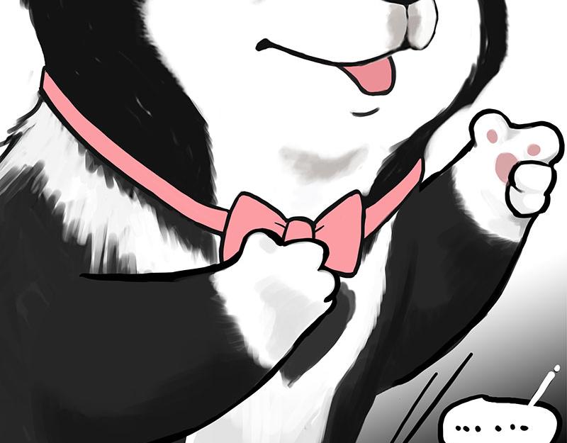 🍘吾皇巴扎黑 第349话 养只猫吧 第10页