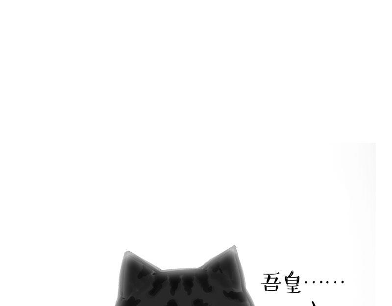 🍘吾皇巴扎黑 第349话 养只猫吧 第12页