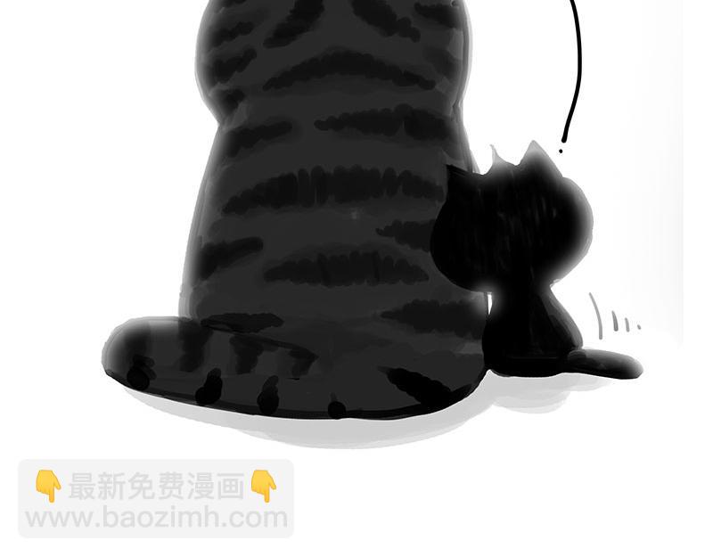 🍘吾皇巴扎黑 第349话 养只猫吧 第13页