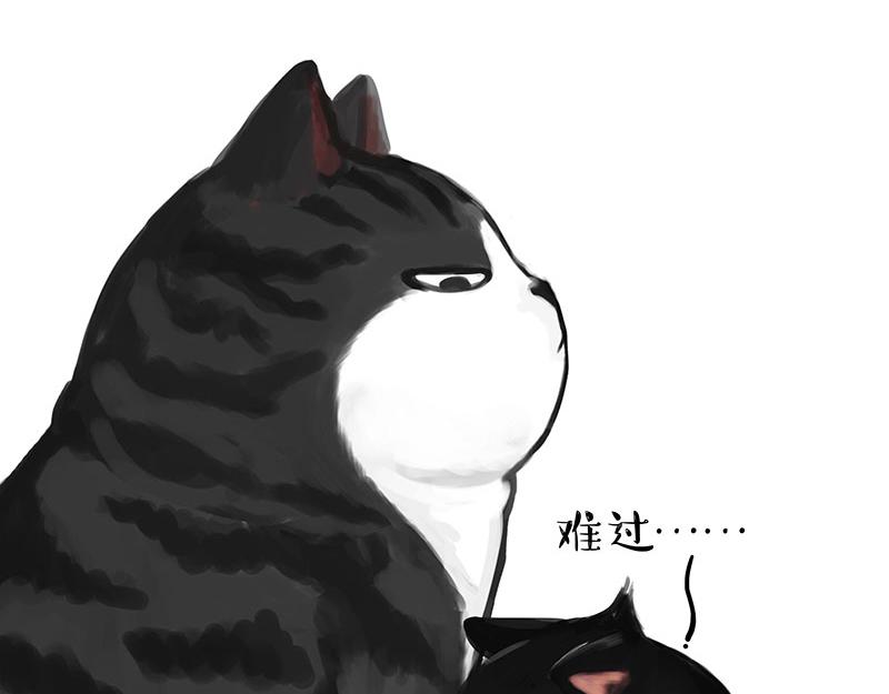 🍘吾皇巴扎黑 第349话 养只猫吧 第17页