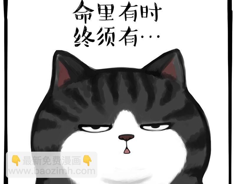 🍘吾皇巴扎黑 第349话 养只猫吧 第19页