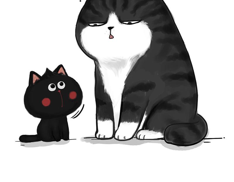 🍘吾皇巴扎黑 第349话 养只猫吧 第22页