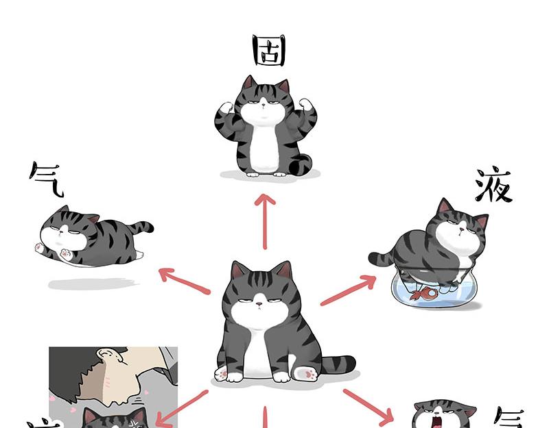 🍘吾皇巴扎黑 第349话 养只猫吧 第29页