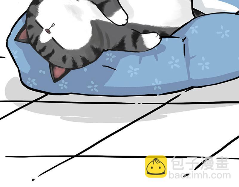🍘吾皇巴扎黑 第349话 养只猫吧 第37页