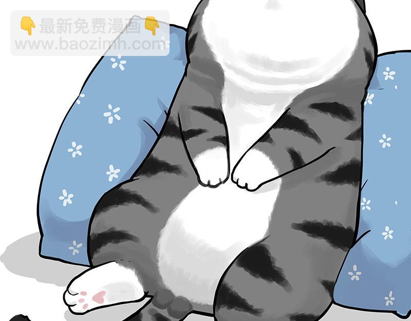 🍘吾皇巴扎黑 第349话 养只猫吧 第45页