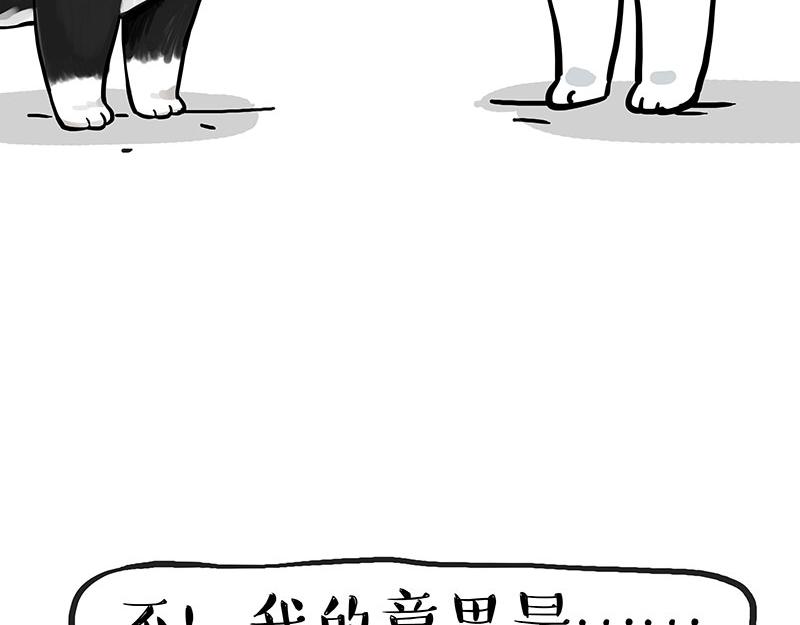 🍘吾皇巴扎黑 第349话 养只猫吧 第5页