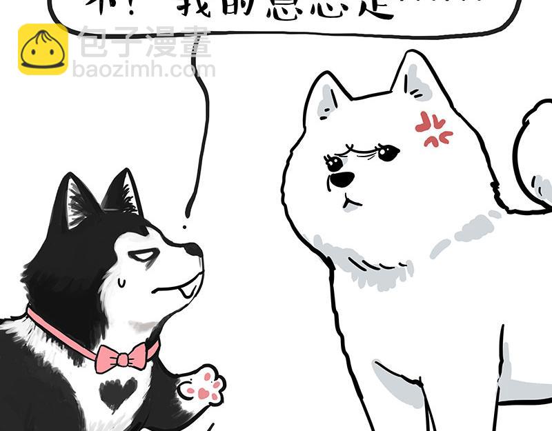 🍘吾皇巴扎黑 第349话 养只猫吧 第6页