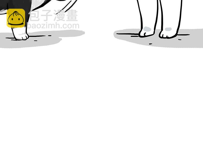 🍘吾皇巴扎黑 第349话 养只猫吧 第7页