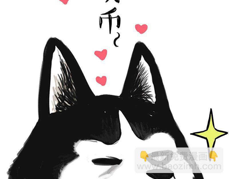 🍘吾皇巴扎黑 第349话 养只猫吧 第9页