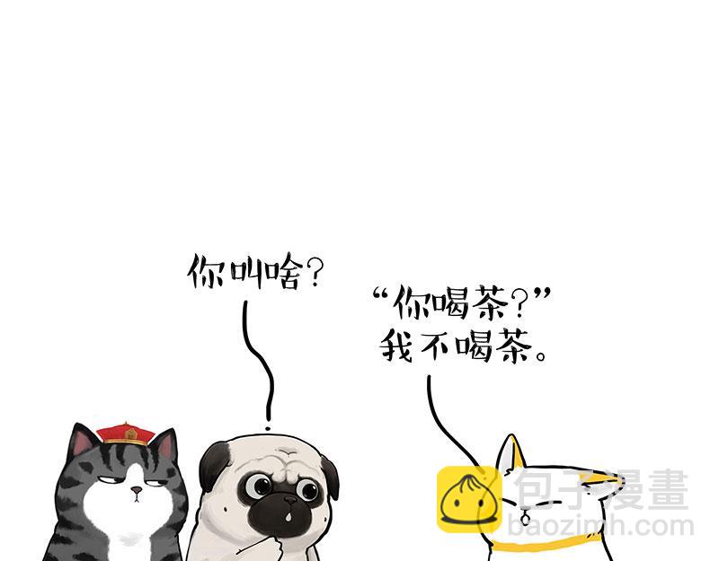 🍘吾皇巴扎黑 第353话 逆向思维 第13页