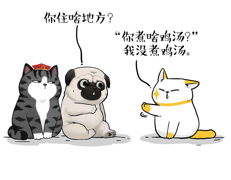 🍘吾皇巴扎黑 第353话 逆向思维 第16页