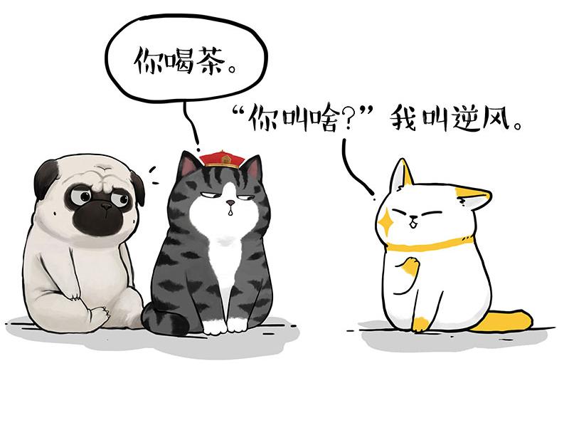🍘吾皇巴扎黑 第353话 逆向思维 第19页