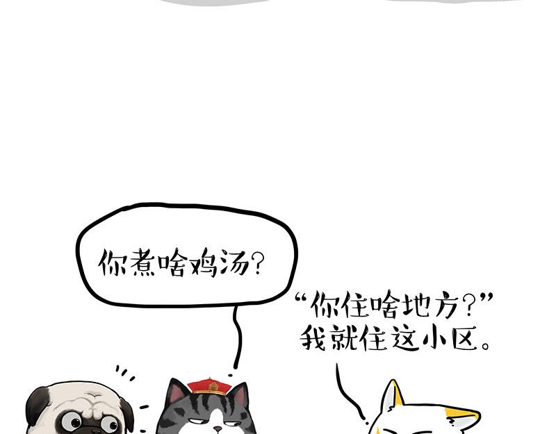 🍘吾皇巴扎黑 第353话 逆向思维 第21页