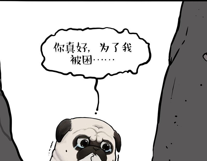 🍘吾皇巴扎黑 第353话 逆向思维 第36页