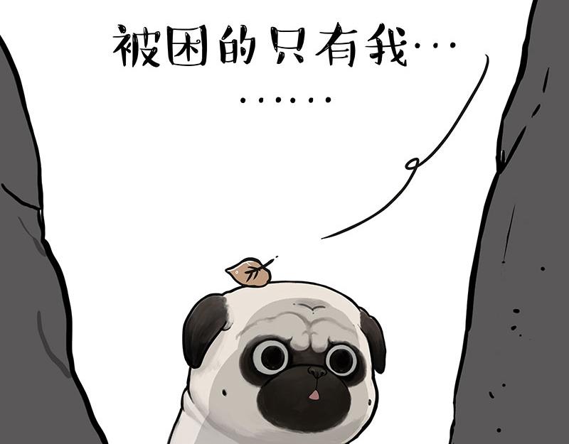 🍘吾皇巴扎黑 第353话 逆向思维 第41页