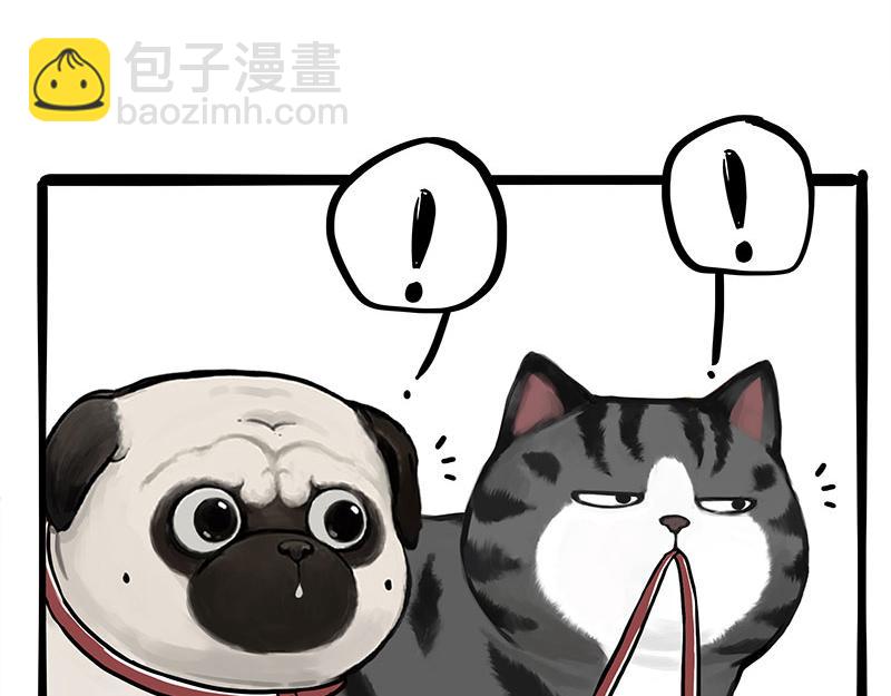🍘吾皇巴扎黑 第355话 一起回家 第13页