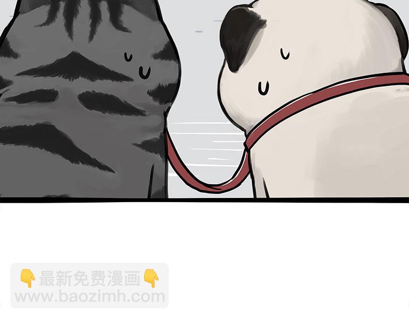 🍘吾皇巴扎黑 第355话 一起回家 第18页