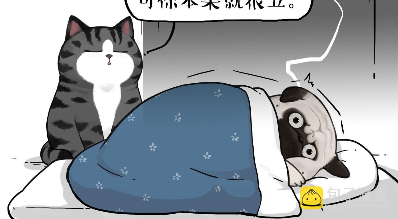 🍘吾皇巴扎黑 第355话 一起回家 第2页