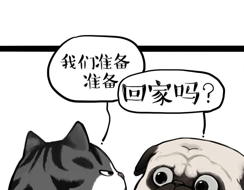 🍘吾皇巴扎黑 第355话 一起回家 第29页