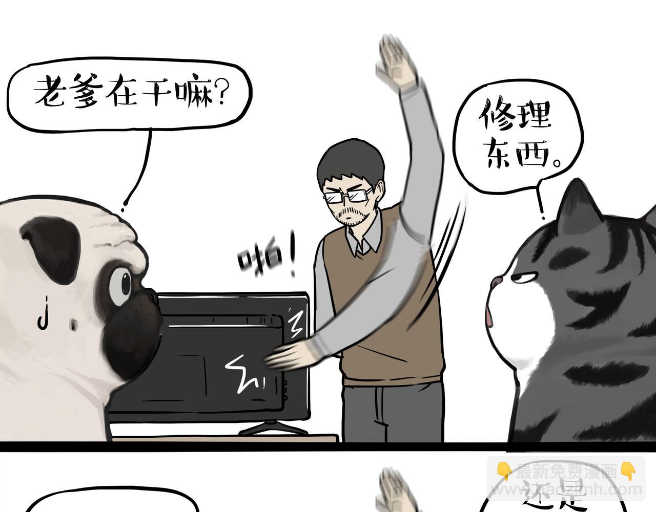 🍘吾皇巴扎黑 第355话 一起回家 第3页