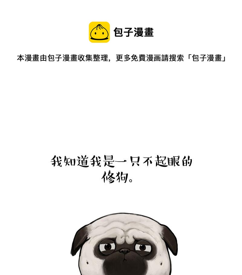 🍘吾皇巴扎黑 第357话 巴扎黑的智慧 第1页