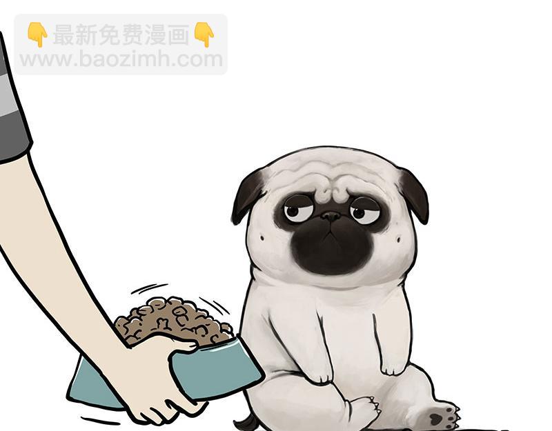 🍘吾皇巴扎黑 第357话 巴扎黑的智慧 第3页