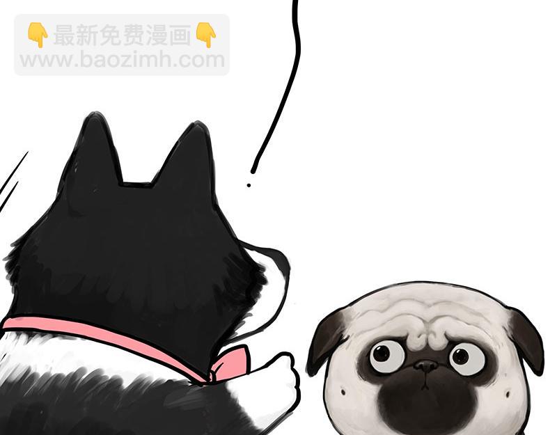 🍘吾皇巴扎黑 第357话 巴扎黑的智慧 第38页