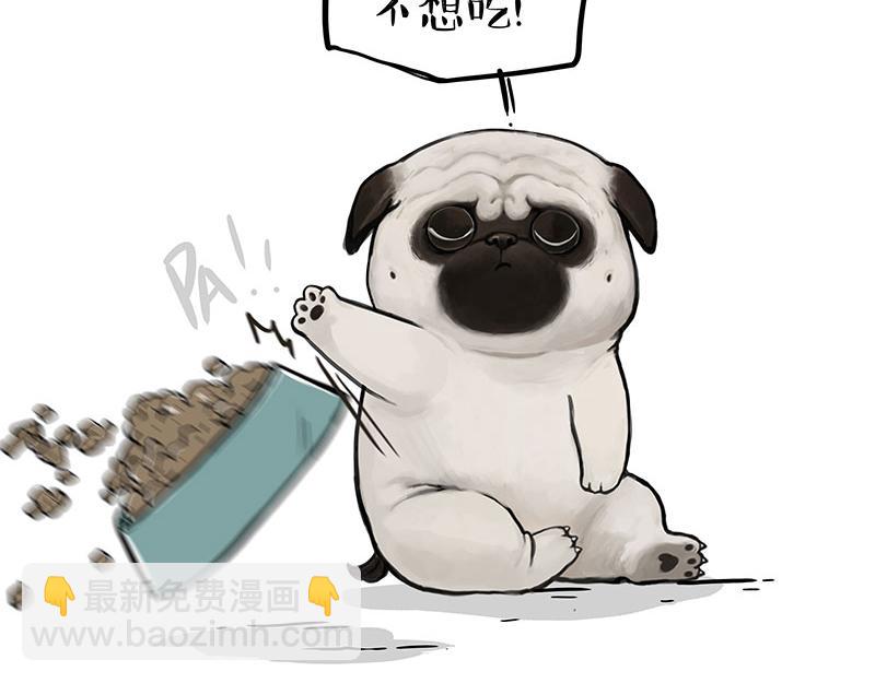 🍘吾皇巴扎黑 第357话 巴扎黑的智慧 第6页
