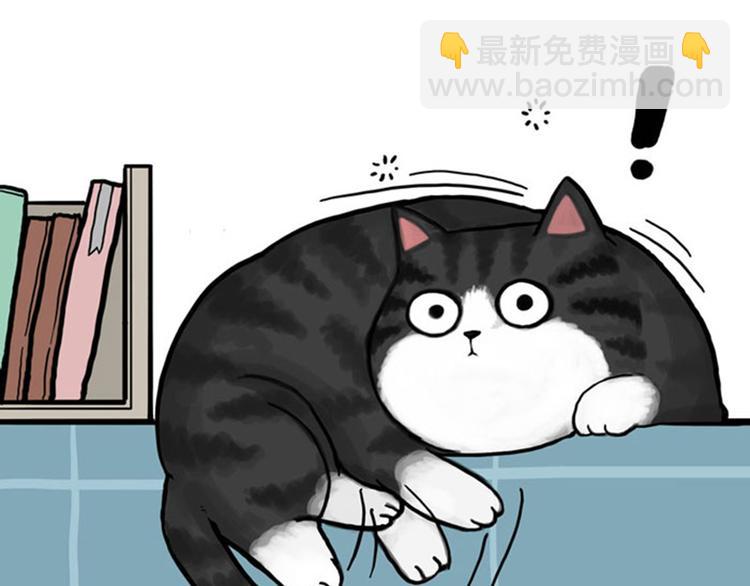 🍘吾皇巴扎黑 第37话 今天，你优雅了吗 第25页