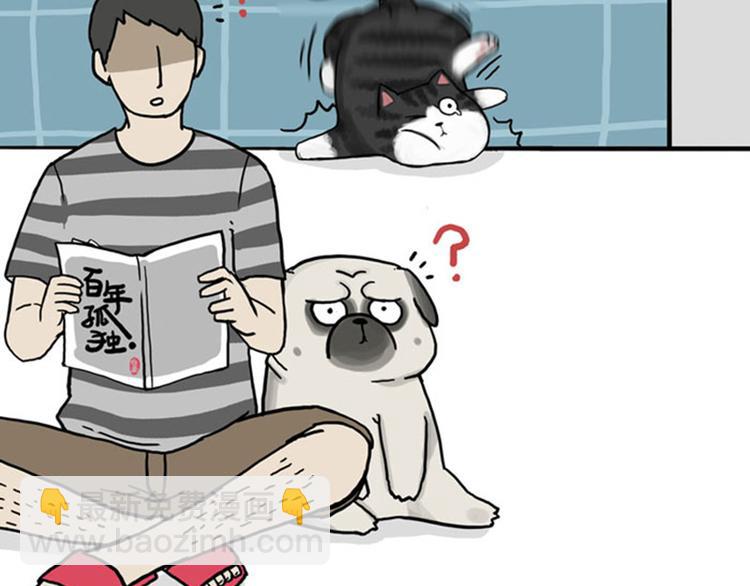 🍘吾皇巴扎黑 第37话 今天，你优雅了吗 第27页