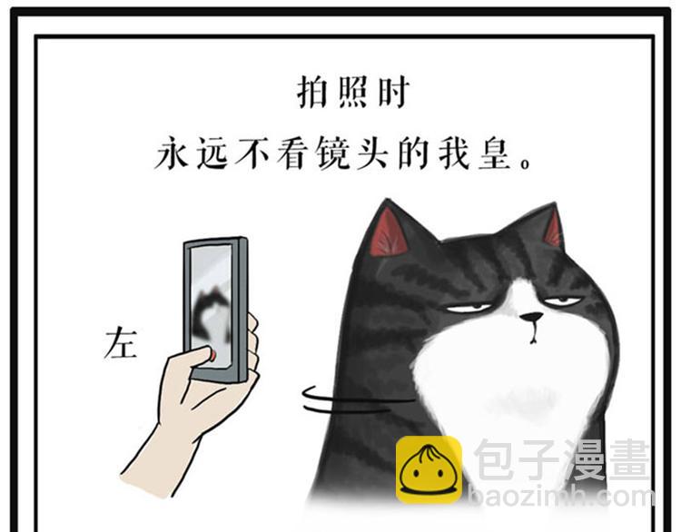 🍘吾皇巴扎黑 第37话 今天，你优雅了吗 第31页