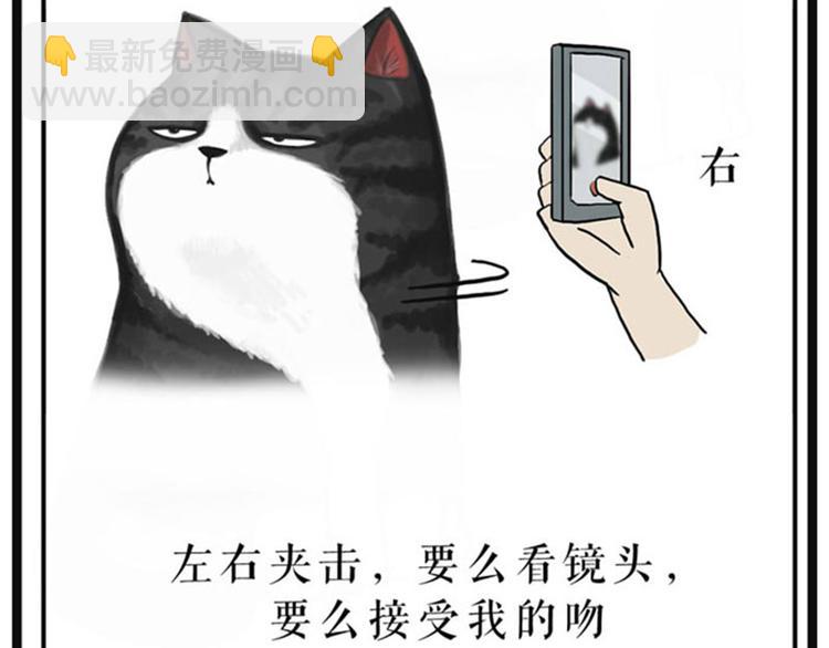 🍘吾皇巴扎黑 第37话 今天，你优雅了吗 第32页