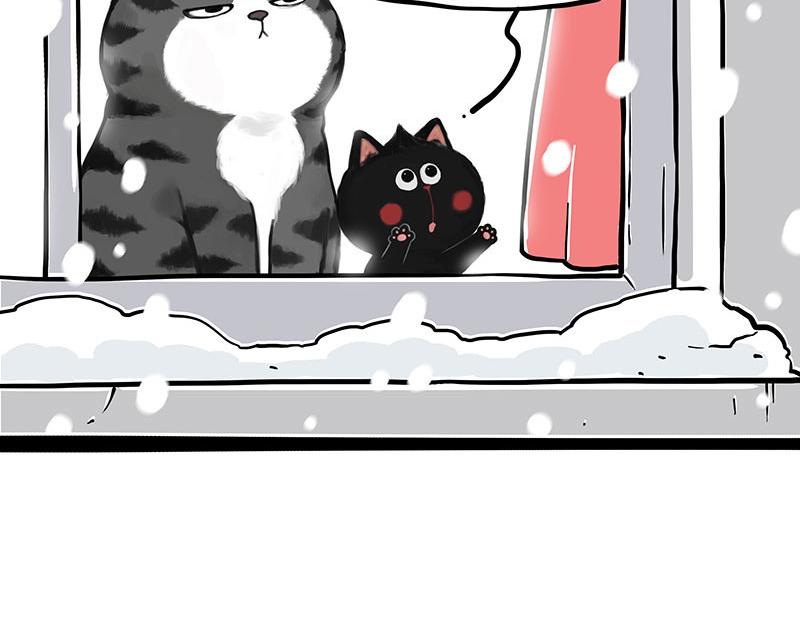🍘吾皇巴扎黑 第359话 猫洛芬 第25页