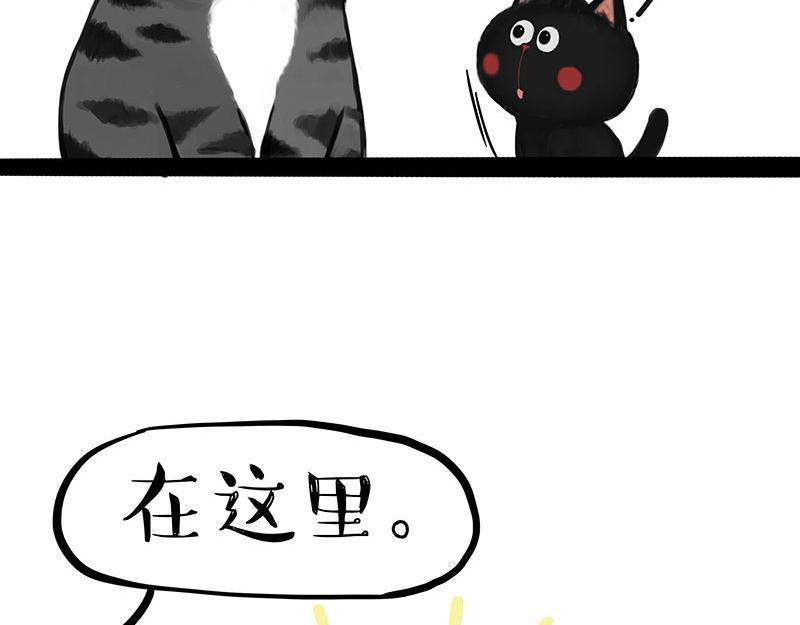 🍘吾皇巴扎黑 第359话 猫洛芬 第31页