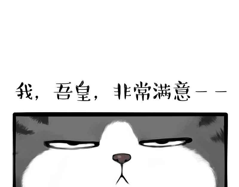 🍘吾皇巴扎黑 第359话 猫洛芬 第5页