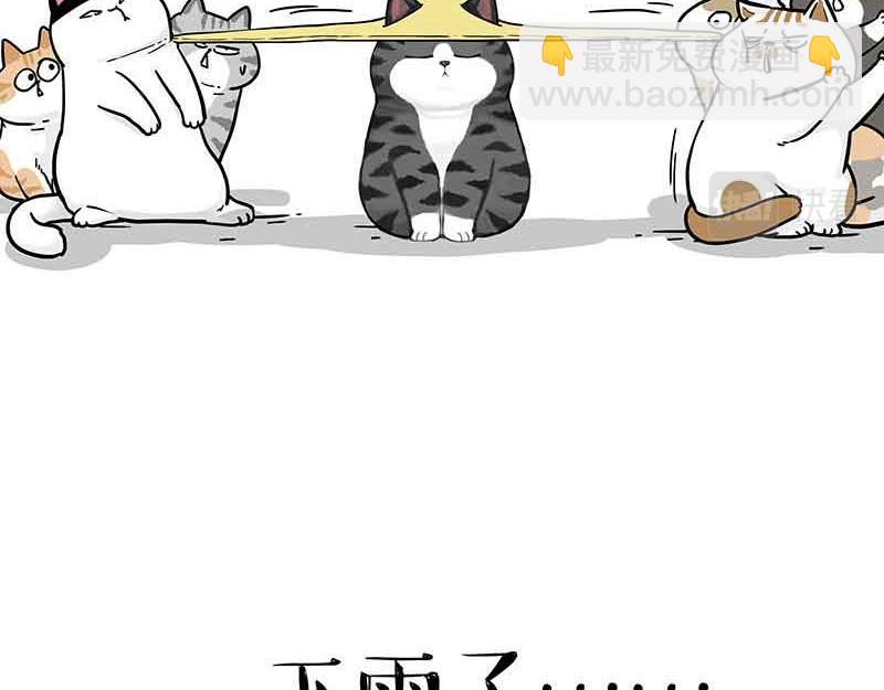 🍘吾皇巴扎黑 第359话 猫洛芬 第9页