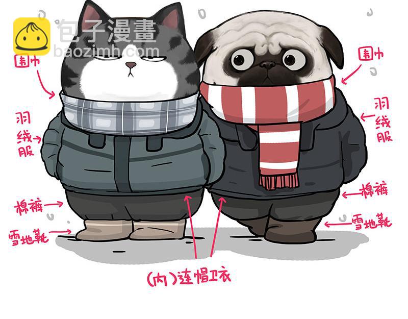 🍘吾皇巴扎黑 第361话 曾经…… 第19页