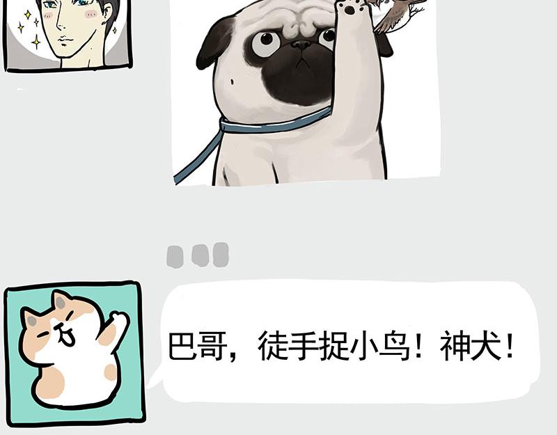🍘吾皇巴扎黑 第365话 “神犬”巴扎黑 第12页