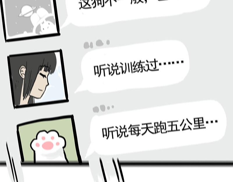 🍘吾皇巴扎黑 第365话 “神犬”巴扎黑 第15页