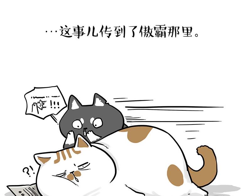 🍘吾皇巴扎黑 第365话 “神犬”巴扎黑 第19页