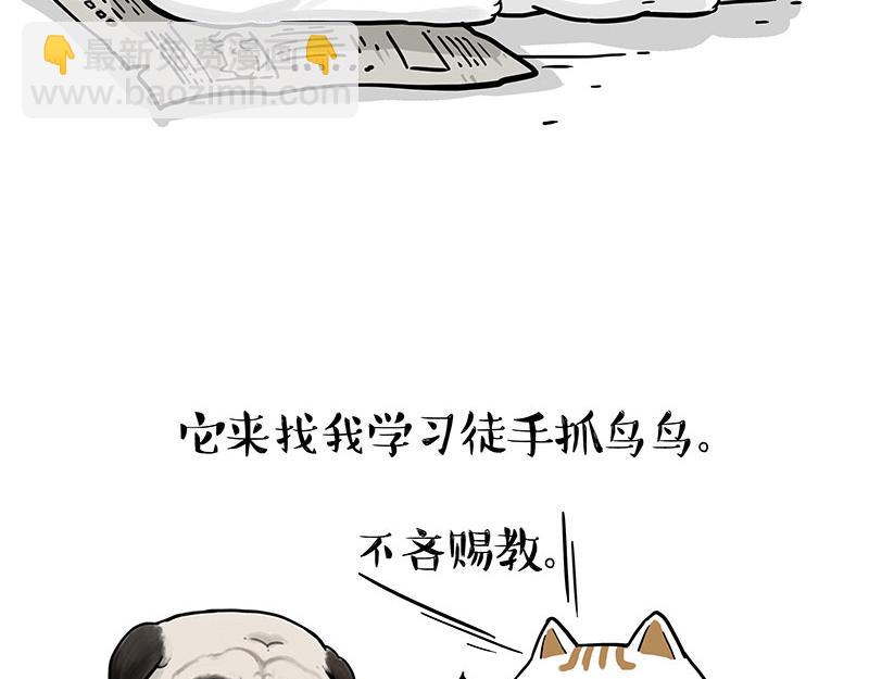 🍘吾皇巴扎黑 第365话 “神犬”巴扎黑 第20页