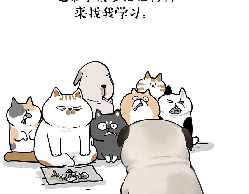 🍘吾皇巴扎黑 第365话 “神犬”巴扎黑 第22页