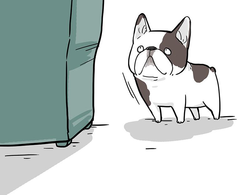 🍘吾皇巴扎黑 第365话 “神犬”巴扎黑 第29页