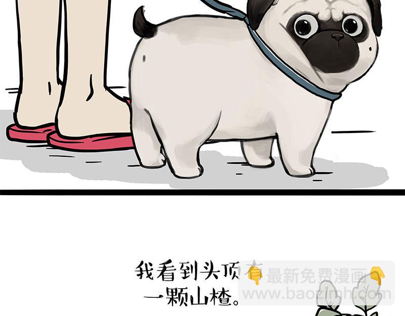 🍘吾皇巴扎黑 第365话 “神犬”巴扎黑 第3页